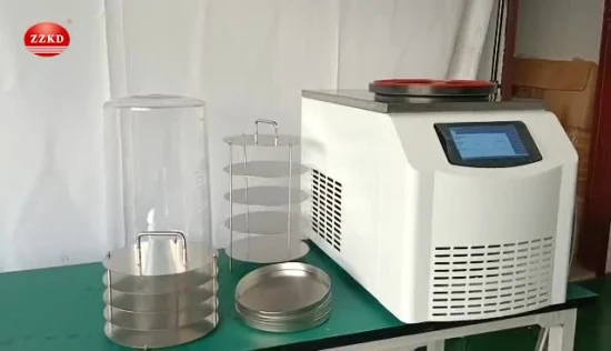 CE Mini Bench-Top Lab Use Freeze Dryer Venom Vacuum Lyophilizer Small Home Kiwifruit Geléia Real Máquina de Liofilização Fruta Vegetal Equipamento de Liofilização