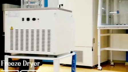 Biobase China Lab Pilot Vacuum Freeze Dryer Fabricante de equipamentos liofilizadores