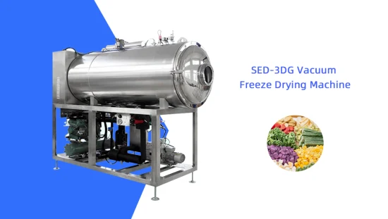 Liofilizador industrial a vácuo de grande capacidade para frutas e legumes